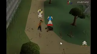 Pking in 2020