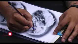 EAGLE TATTOO  | BLACK N GREY | REALISTIC EAGLE |   KAMAYA TATTOO STUDIO