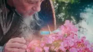 АРВЕНТУР - фрагмент