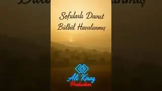 Sofularlı Davut - Bülbül Havalanmış