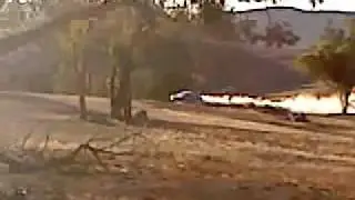 Passat Paddock Bomb