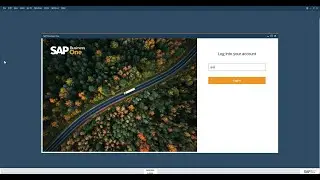 Identity and Authentication Management in SAP Business One Cloud