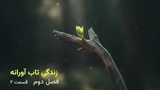 کتاب زندگی تاب آورانه -  فصل دوم:  شرم تاب آوری و قدرت همدلی -  قسمت ۲