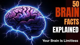 50 Brain Facts Explained! Reveal Your True Potential