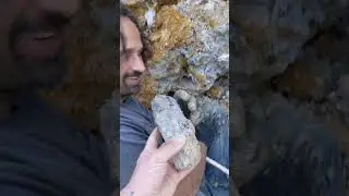 Pulling Two Big Crystals Out Of The Clay!!