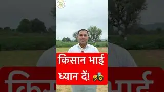 प्याज की सफल नर्सरी लगाने का सही तरीका | Onion Nursery Preparation
