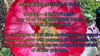 9 day phase - 10 SEED - challenge that materialises through authenticity. Refusing to play the game.