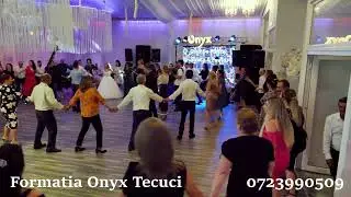Formatia Onyx Tecuci, nunta Barlad, Fetele lui tata, 2025