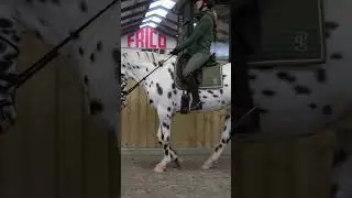 Dressuurclinic Marlon van Wissen en Fleur van der Scheer - Deel 1