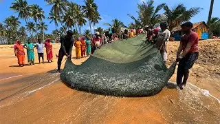 HARD! Bad Day for Net Fishing Traditional Village Fisherman Life