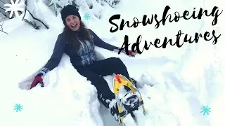 Snowshoeing in Miller State Park, New Hampshire