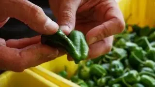 Peppers:  A Love of Spanish Food and Culture