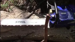 Holzfforma g888 vs. Dead Wood. Get's Stuck! Husqvarna 565 Bailout & Stihl Brand Rollormatic Bars.