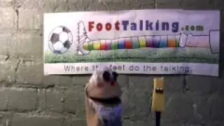 World Cup 2014 Mascot?