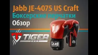 БОКСЕРСКИЕ ПЕРЧАТКИ Jabb JE-4075/US Craft | TIGERSHOP