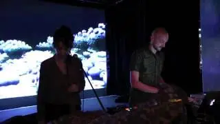 nocto ft. Oelka shadok extraits