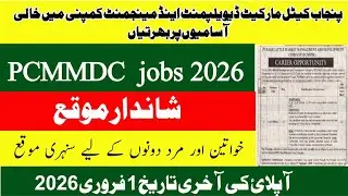 Punjab Cattle Market Management & Development Company Jobs 2026 | Online Apply Till 01 February 2026