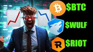 Bitcoin Halving's Impact on Crypto Mining: What to Expect | AvidTrader