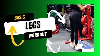 Legs Basic | Weekly Split Workout