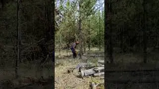 Making woodchips to grow garlic in cold weather British Columbia, Canada