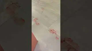Dad Finds Bloody Footsteps Inside Dream Home #shorts
