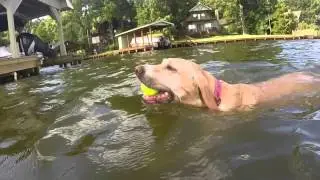 Lake Cypress Springs June 2015