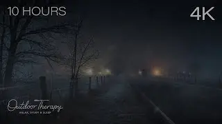 The Quiet Weight of a Winter Night | Howling Wind & Steady Snowfall Ambience | 10 HOURS