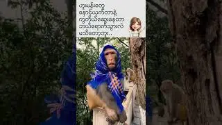 MonkeyFunny#Funny#youtubeshorts #Variety Channel#Create by Zpp