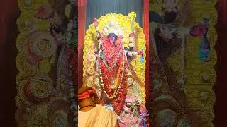 Asansol Apcar Garden Kali Puja #asansol #kalipuja #maakali #kalipuja2025 #amritobharat #festival