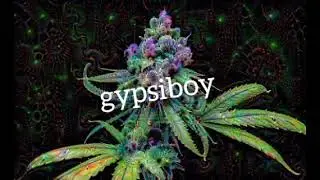Gypsi-boy_ta vyjebana-tr&aacute;va(oficial. video)