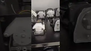 How About Lead Fluid ODM Peristaltic Pumps?