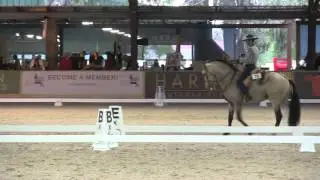 Andiamo and Carlos Carneiro Dressage