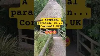 #tropical #paradise #park in #cornwall #uk #travel #british #britain #jungle #holidays #2025