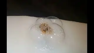 Fresh water tank repair 