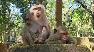 Mom Liby and Daughter Sitting Sleep On The Stone  Looks At So Sweet.