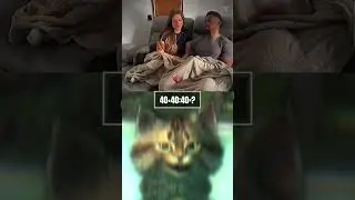 dangerous movement 🤣 #cat #meme #dance #trending