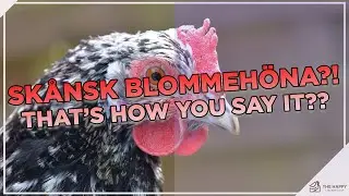 Sweeeeet Swedish Flower Hen!