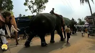 Arangottukara Mullakkal Thalappoli 2018