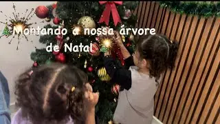 Montando a nossa árvore de Natal 🎄