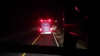 Autobuses OCC vs Curvas
