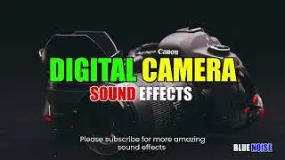 Digital camera sound effects