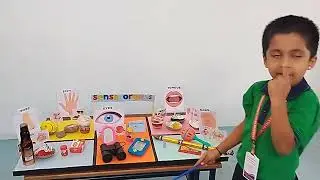 Sense organs speech in English by Vismitha