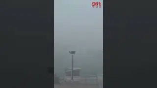 Dense fog shrouds parts of Delhi-NCR
