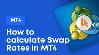 How to calculate Swap Rates in MT4 | BlackBull Markets