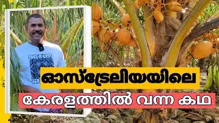 ഓസ്&zwnj;ട്രേലിയൻ ജീവിതം - സമാഹാരം #krishi #australiamalayalam