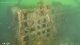 Oyster Bay/Cold Spring Harbor Oyster Reef Restoration