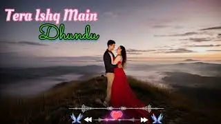 Tera Ishq Main Dhundu || Slowed and Reverb Song || Heart Touching Song || Vibe Song 😍