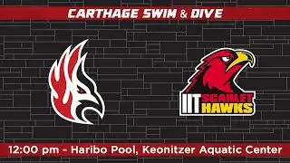 Carthage Swim & Dive vs Illinois Tech