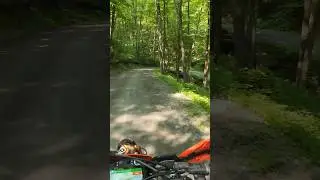 PA BDRx section 1 scenery part 2 #dualsport #ktm350 #ktm