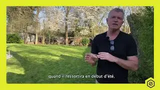 Préparez votre gazon en 5 étapes !